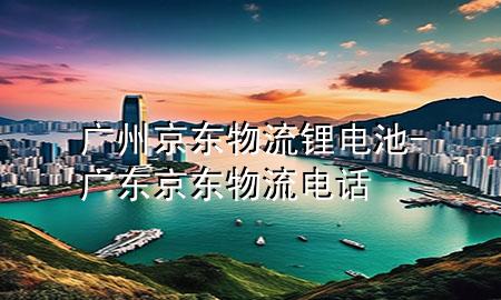 广州京东物流锂电池-广东京东物流电话