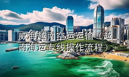 威海越南空运运输（越南海运专线操作流程）