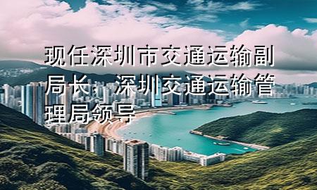 现任深圳市交通运输副局长，深圳交通运输管理局领导