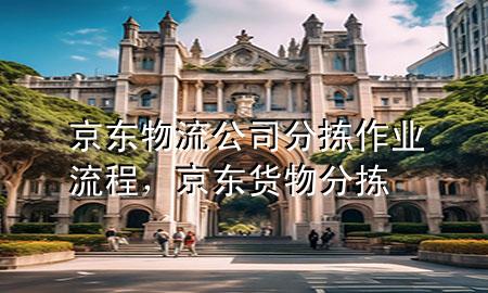 京东物流公司分拣作业流程，京东货物分拣